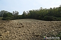 VBS_7567 - Andare lontano, oltre i campi da arare... e ancora più in là